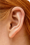 Ear